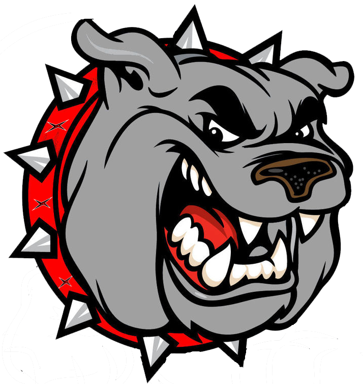 AngryBulldogg ( Dj Riproar)